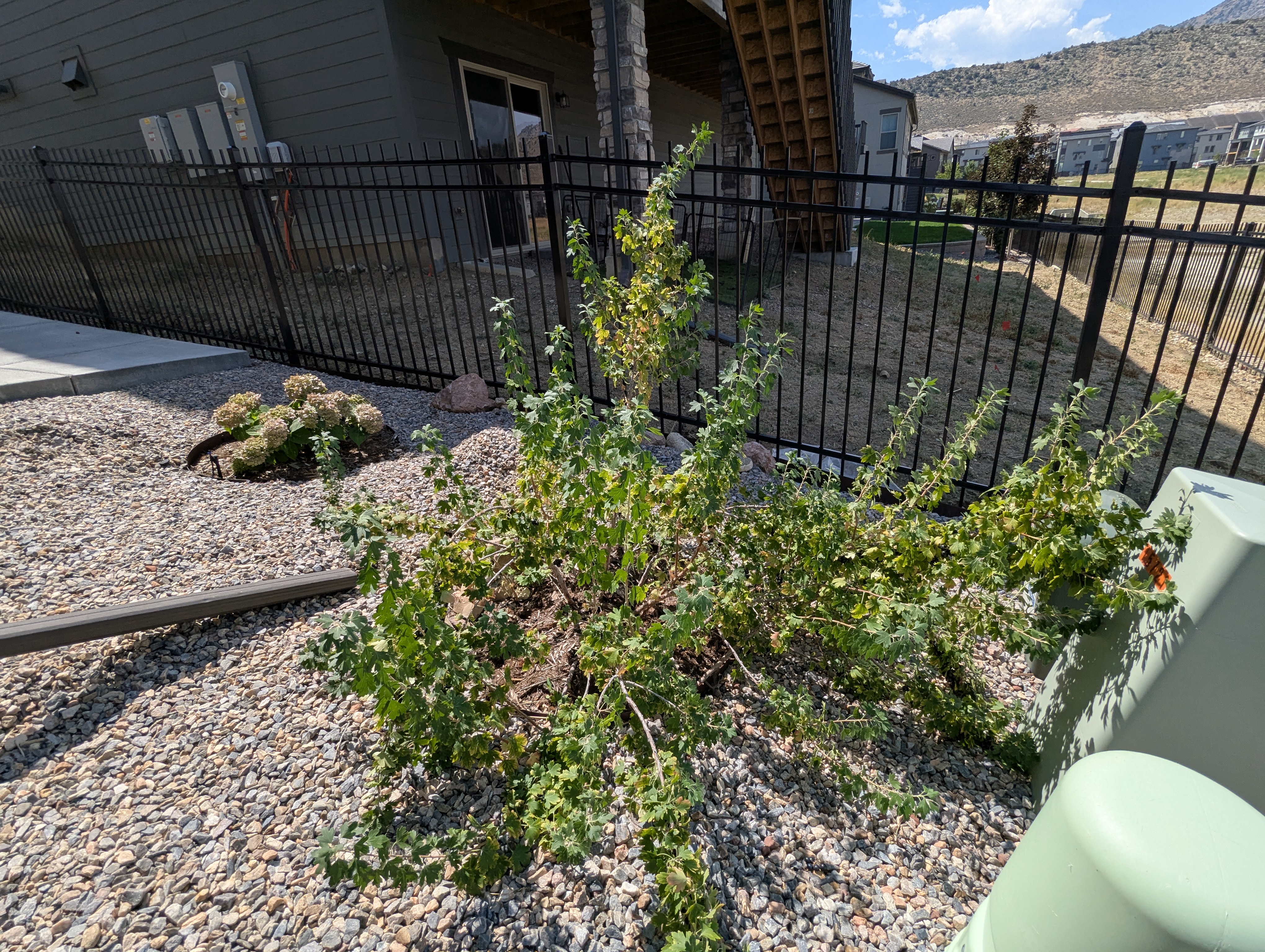Garden, Morrison, Colorado